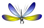 3-free-dragonfly-clip-art-s